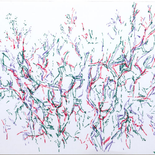 Olive Trees II, 2018, pen, ink and watercolor on paper
